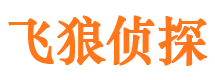 岚县侦探公司